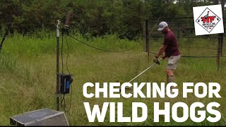 CHECKING FOR WILD HOGS 🐗🐗🐗At The Drop Trap by Hollis Farms 3,398 views 7 months ago 10 minutes, 53 seconds