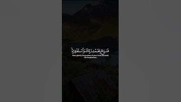 سورة النصر (اذا جاء نصر الله والفتح) … سعد الغامدي