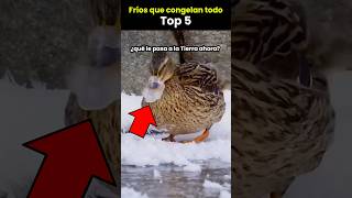 Fríos extremos que congelan hasta el alma – Top 5