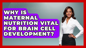 Why Is Maternal Nutrition Vital For Brain Cell Development? - Brain Development Hub
