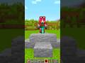 La spada nella roccia su Minecraft!