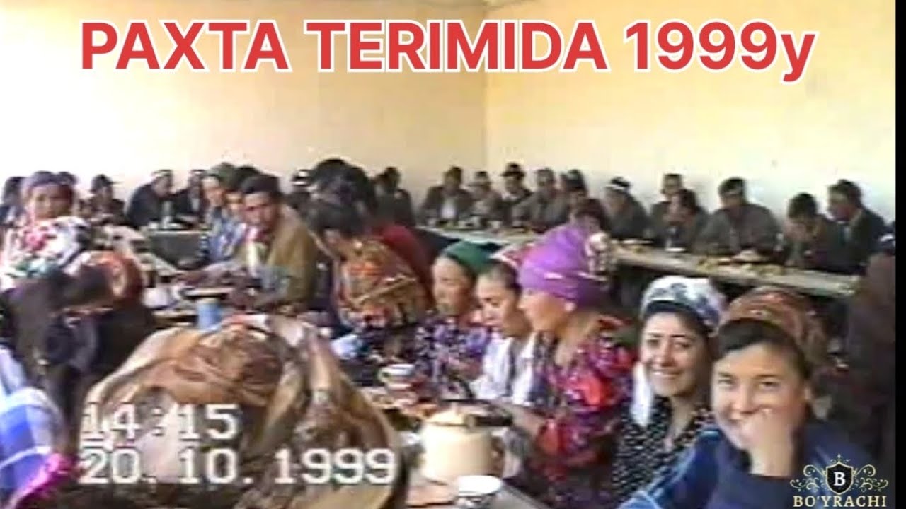 PAXTA TERIMI 1999y