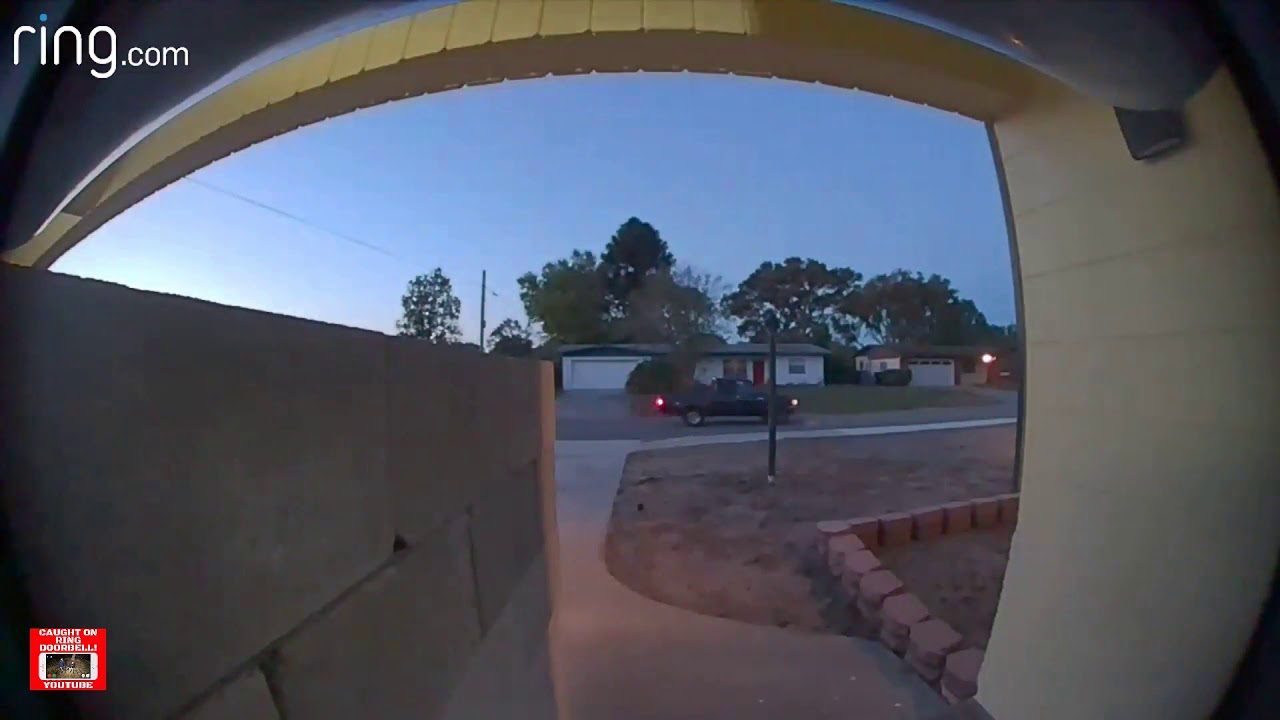 Caught on Ring Doorbell - Package Thief - YouTube