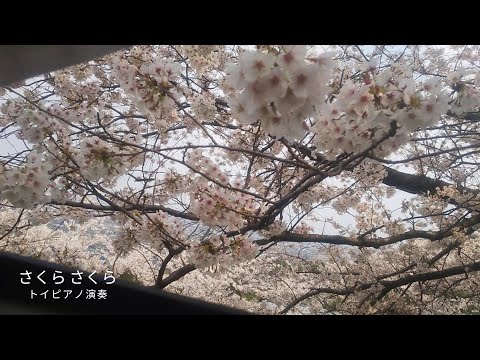 トイピアノ  さくらさくら ～桜小径(さくらこみち)から～【 Japanese Nursery Rhyme, Sakura Sakura 】