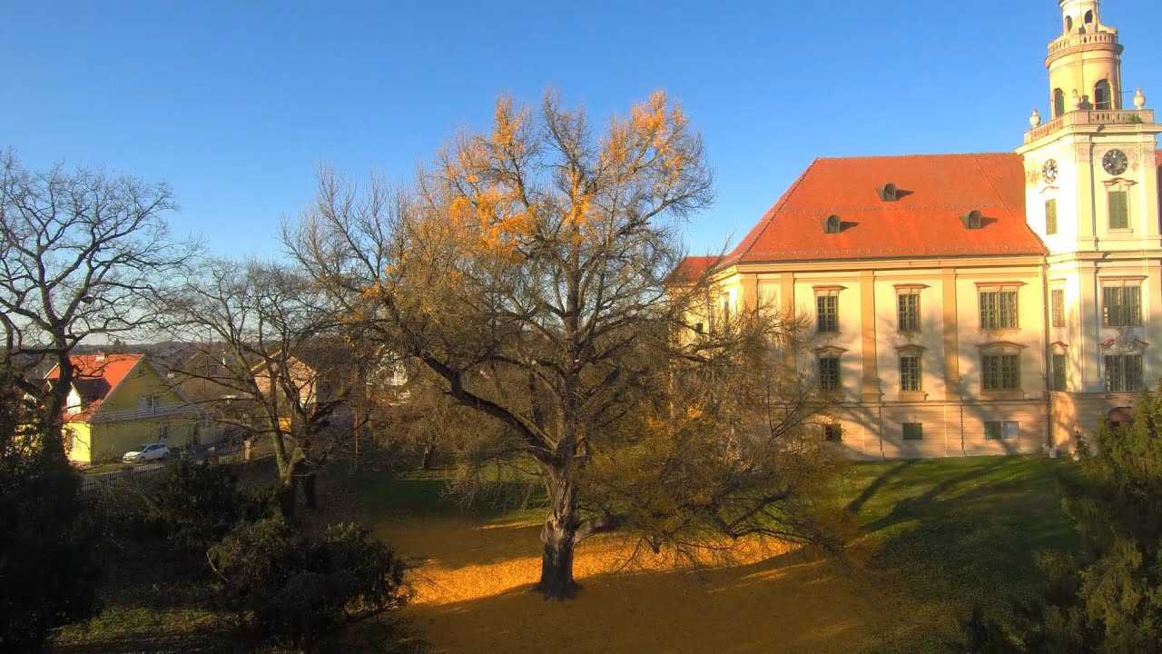 Ivan Draženović - Šetanje kroz snove / Croatian in New York