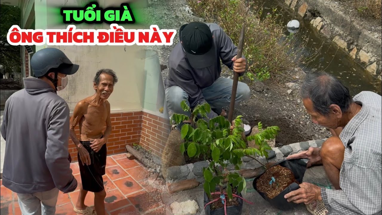 Chuyện Không Thể Ngờ Tuổi Về Già Ông Lại Thích Điều Này, Ước Nguyện Cuối Cùng Của Ông