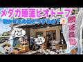 今年こそ睡蓮を咲かせたい!睡蓮の専門家カズさんに聞いてみよう(睡蓮イベント大成功!その模様をお届けします)