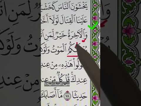 كيف ت قرأ كلمة ي د ر كك م اكسبلور الأخطاء الشائعة تجويد حبيب البراهيم قرآن