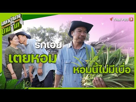 สวัสดี ครับ เรา เคย รู้จัก กัน รึ เปล่า  Update New  รักเอยเตยหอม…หอมนี้ไม่มีเบื่อ : มหาอำนาจบ้านนา