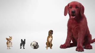 Clifford The Big Red Dog First Look