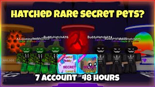 I Used 7 Account To Hatch All The Perm Eggs For 48 Hours! Rare Secret Pets | Bubble Gum Simulator