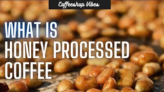 What is Honey Processed Coffee?