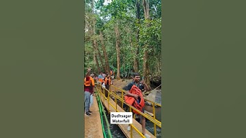 Dudhsagar Waterfall,Goa #dudhsagarfallsingoa #goa #travel #love #hits