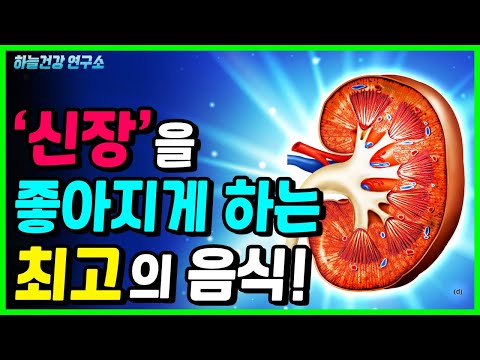 <strong>신장</strong>(콩팥)<strong>에</strong> <strong>좋은</strong> 최고의 <strong>음식</strong>!