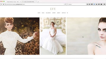 Flothemes :: LVY - Header Settings