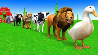 Long Slide Game With Cow Elephant Gorilla Hippopotamus Tiger 3d Animal Game Funny 3d AnimalsVideo