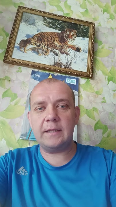 Алания КамАЗ прогноз на матч 31.07.23 #футбол #фнл #перваялига # ...