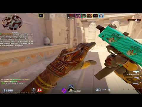 COUNTER STRIKE 2 ✨ #1 TOP FRAGGER ✨ BOT DESTROYER ✨ CERTIFIED PROFIT