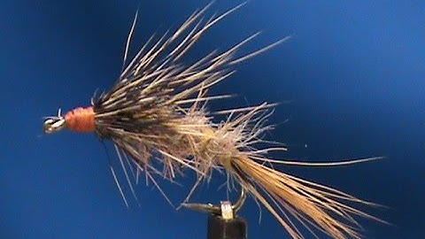 Beginner Fly Tying a Squirrel Tail Nymph with Jim Misiura