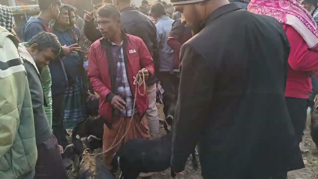 খাসির বাজার দেখলাম 