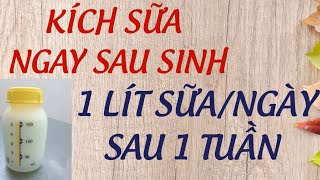 Cách Kích Sữa Hiệu Quả Ngay Sau Sinh  Từ Vài Giọt Lên 1 Lít/Ngày Sau 1 Tuần Đầu