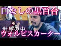 【口なしの黒百合 / ウォルピスカーター】Reaction Video / ピッコマ「私を突き刺す棘」篇 CMソング 【リアクション動画】【海外の反応】