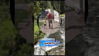 Ваас из фаркрай #farcry #кружок #юмор