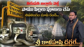 If you go to Tirupati, come and see the Shivalinga where snake children worship..it is near Sri K...