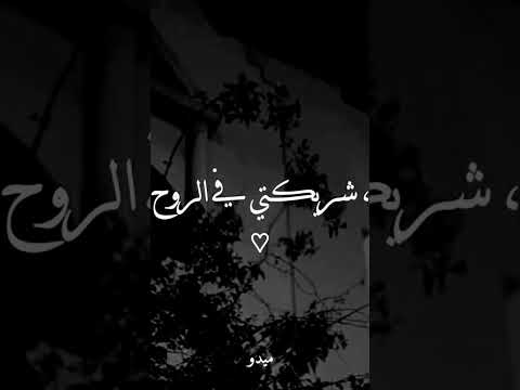 انتي الونس حب  قرآن