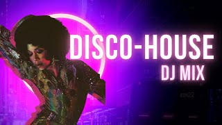 Download Lagu Bring The Disco 2024 DiscoPauli Full Mix MP3