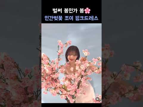 벚꽃같은 조이 원피스 #JOY