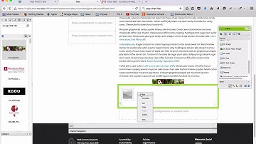 OU Image & OU Text-Image Components