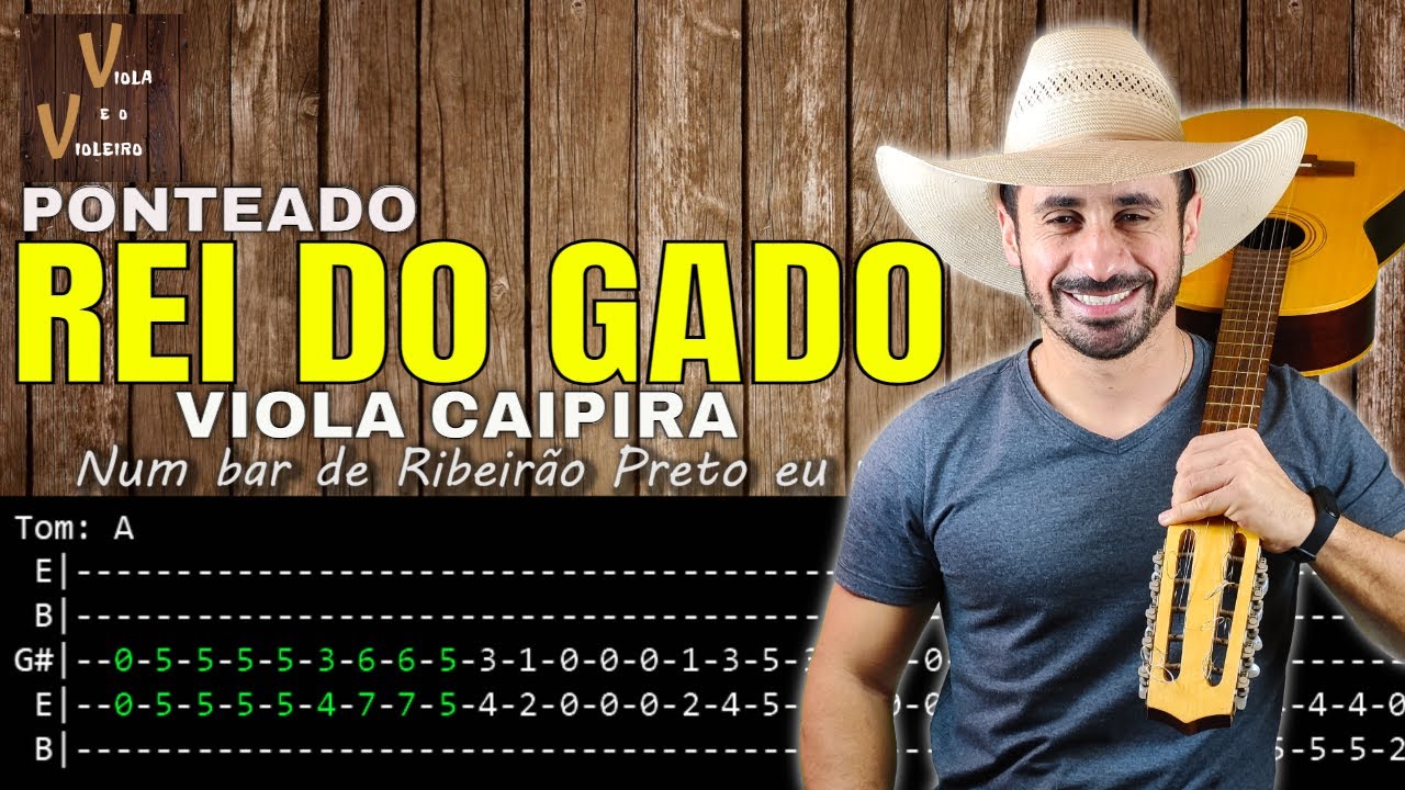 Rei do Gado - Ponteado | Viola e o Violeiro