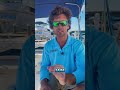 Fishing in Destin or Fort Walton Beach? Skip the guesswork and go straight to the local tackle shops