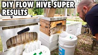 Details DIY Flow Hive Super Results Guide