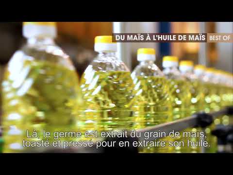 Vidéo: Grains De Maïs Dorés