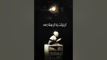 آيات من سورة النور تلاوة هادئة | شريف مصطفى | حالات واتس