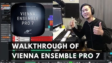 Vienna Ensemble Pro 7: How to and What