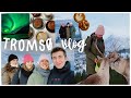 TROMSØ, Norway VLOG - Rentiere, Eisbaden & Sauna, Nordlichter, viele Zimtschnecken // REISE VLOG