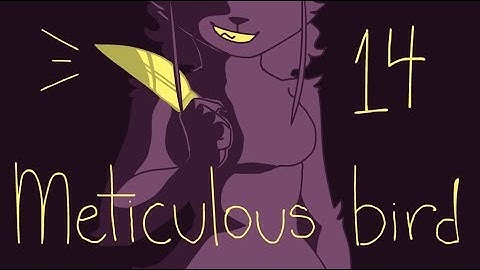 Meticulous Bird | 14 |