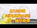 ♪『月見草の花』カスミの唄 うた:緑咲香澄
