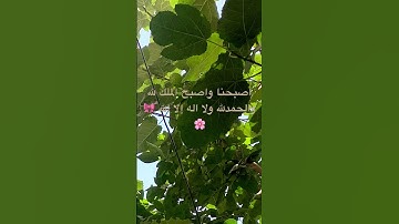 تلاوة هادئة #تلاوات_تريح_القلوب #محمد_اللحيدان #ترند #hijab #اكسبلور 🤍💜🎀🎀🎀🎀😁