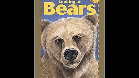 Looking at Bears By Deborah Hodge