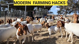 Farm Updates: Free Range GOATS, Housing, New Exotic Kids, Nutritious soya feeds!