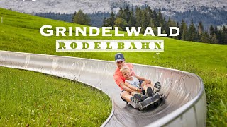 Grindelwald Rodelbahn / Toboggan ride - Switzerland 4K 60fps video