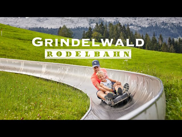 Grindelwald Rodelbahn / Toboggan ride -  Switzerland 4K 60fps video class=