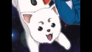 Download lagu Gintama ED01 - Fuusen Gum - Captain Straydum FULL HQ