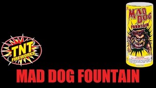 Mad Dog Fountain - TNT Fireworks® Official Video