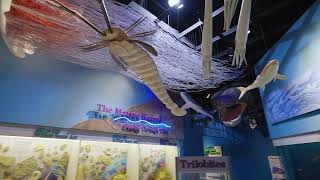 Exploring the Changes Exhibit