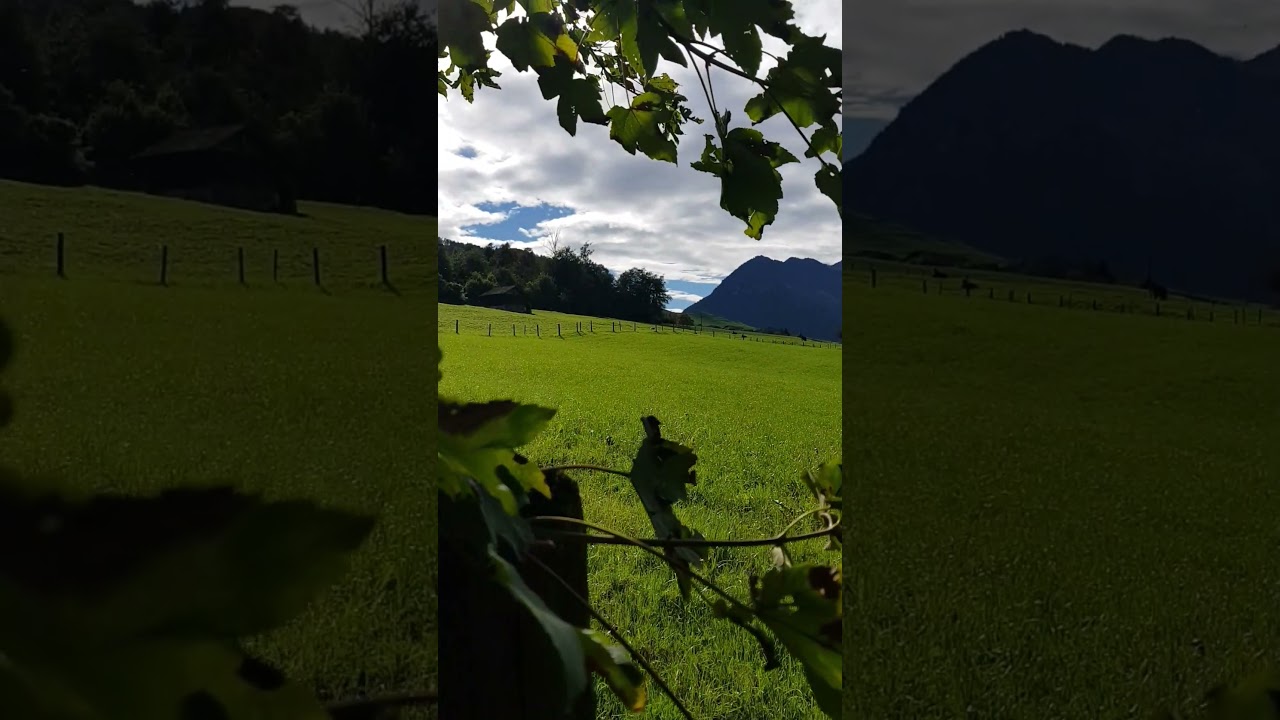 Capturing moments in nature! 